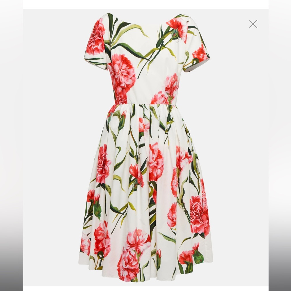 Cut label Dolce & Gabbana carnations short dress